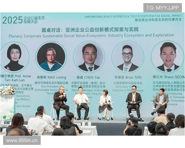 社会企业家引领可持续创新与社会价值共创的未来发展路径研究